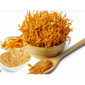 Phân loại theo hình thái